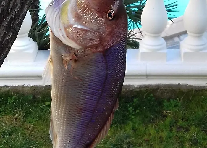 Sole E Mare Διαμέρισμα *